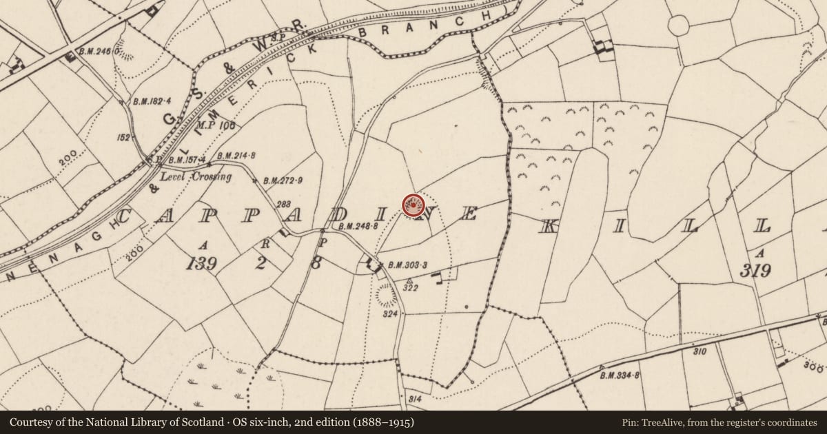 Ordnance Survey six-inch map, 2nd edition (1888–1915) covering the location of Ringfort - rath, Cappadine, County Tipperary North, with a pin at the register's coordinates