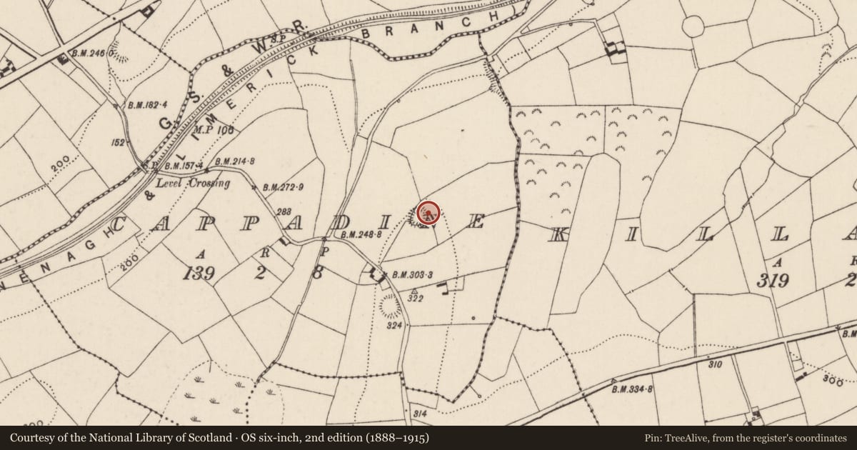 Ordnance Survey six-inch map, 2nd edition (1888–1915) covering the location of Standing stone, Cappadine, County Tipperary North, with a pin at the register's coordinates