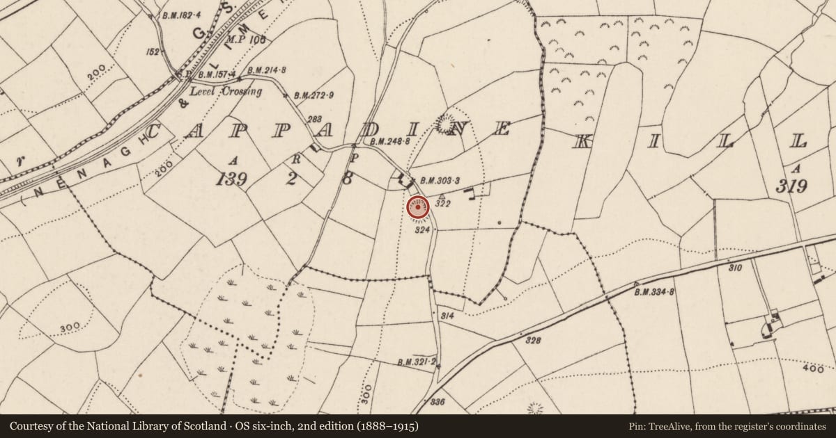 Ordnance Survey six-inch map, 2nd edition (1888–1915) covering the location of Enclosure, Cappadine, County Tipperary North, with a pin at the register's coordinates