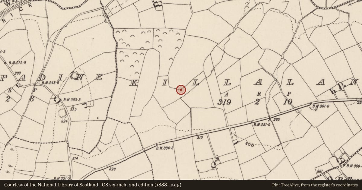 Ordnance Survey six-inch map, 2nd edition (1888–1915) covering the location of Fulacht fia, Killalane, County Tipperary North, with a pin at the register's coordinates