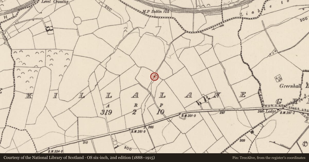 Ordnance Survey six-inch map, 2nd edition (1888–1915) covering the location of Fulacht fia, Killalane, County Tipperary North, with a pin at the register's coordinates