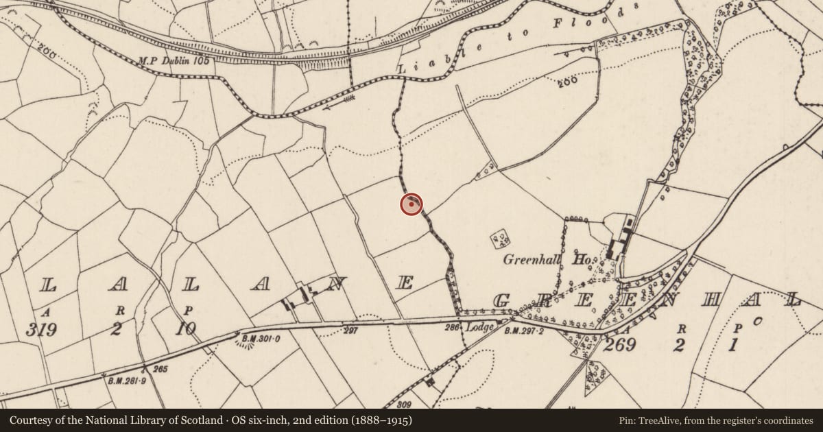 Ordnance Survey six-inch map, 2nd edition (1888–1915) covering the location of Fulacht fia, Killalane, County Tipperary North, with a pin at the register's coordinates