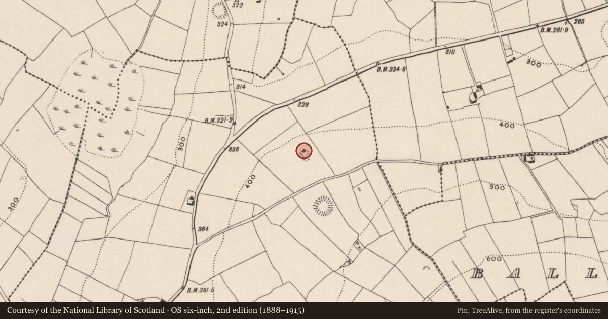 Ordnance Survey six-inch map, 2nd edition (1888–1915) covering the location of Ringfort - rath, Garraun (Kilnarath Par.), County Tipperary North, with a pin at the register's coordinates
