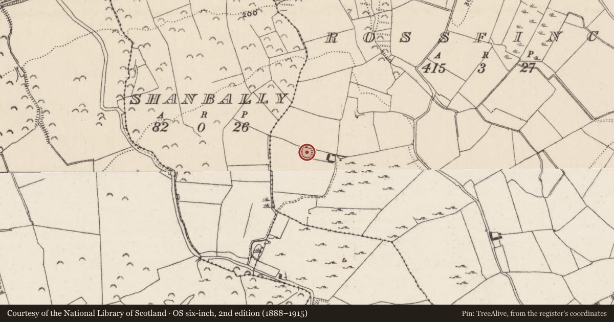 Ordnance Survey six-inch map, 2nd edition (1888–1915) covering the location of Ringfort - rath, Rossfinch, County Tipperary North, with a pin at the register's coordinates