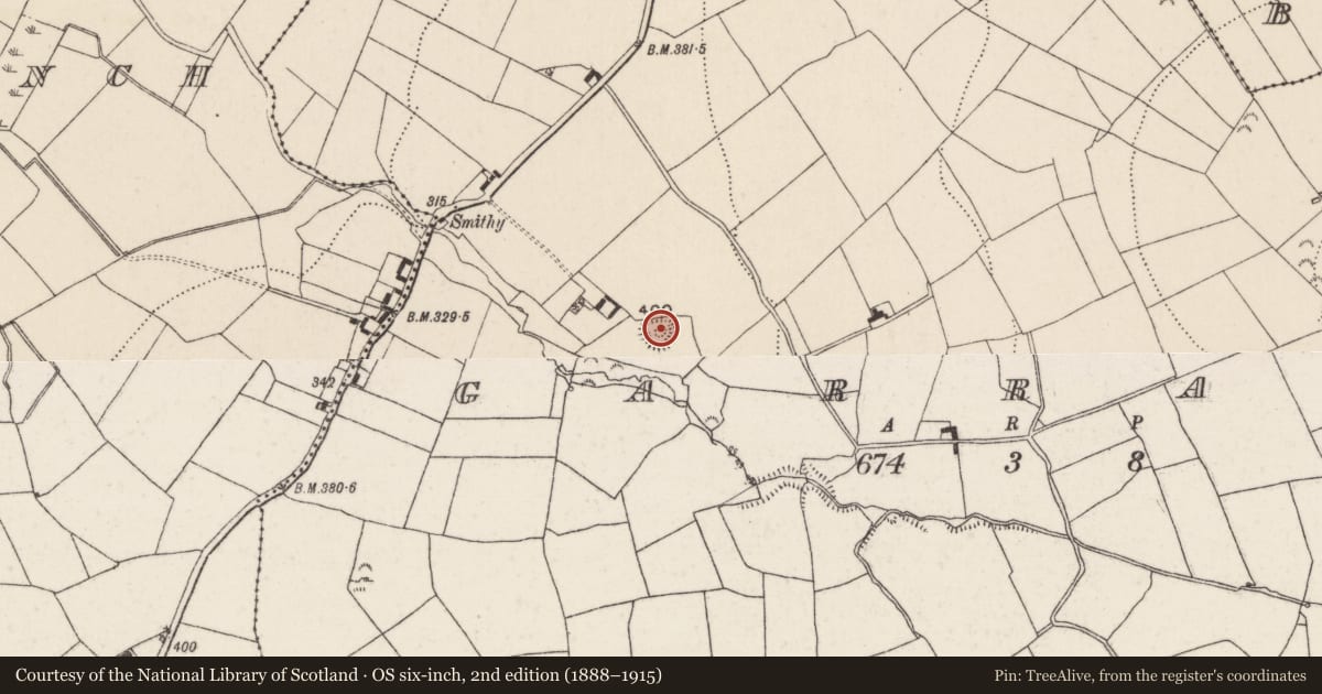Ordnance Survey six-inch map, 2nd edition (1888–1915) covering the location of Ringfort - rath, Garraun (Kilnarath Par.), County Tipperary North, with a pin at the register's coordinates
