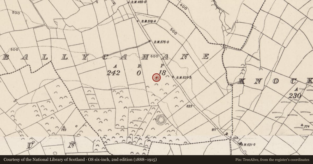 Ordnance Survey six-inch map, 2nd edition (1888–1915) covering the location of Enclosure, Ballycahane, County Tipperary North, with a pin at the register's coordinates