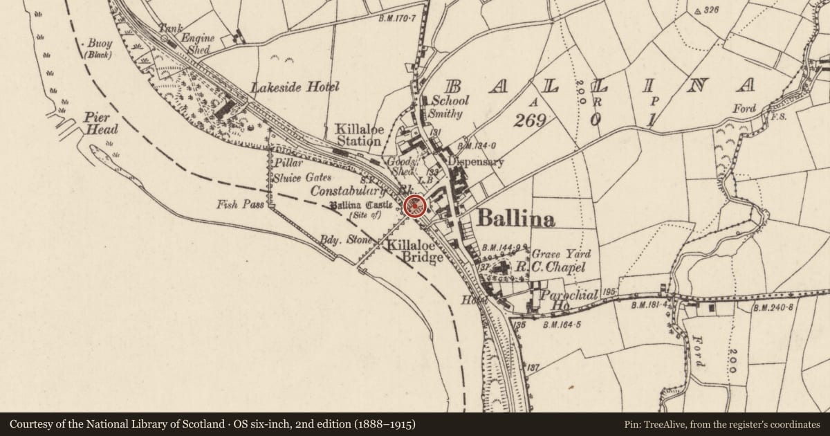 Ordnance Survey six-inch map, 2nd edition (1888–1915) covering the location of Historic town, Ballina, Cullenagh (Templeachally Par.), County Tipperary North, with a pin at the register's coordinates