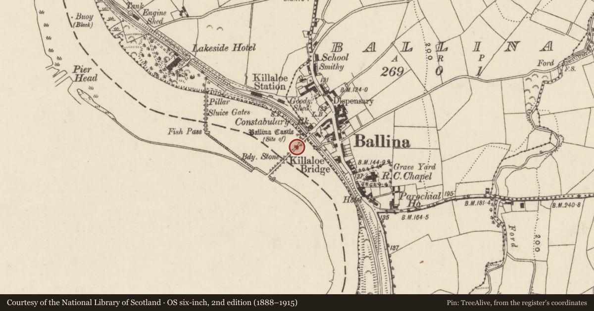 Ordnance Survey six-inch map, 2nd edition (1888–1915) covering the location of Bridge, Cullenagh (Templeachally Par.), Ballina, County Tipperary North, with a pin at the register's coordinates