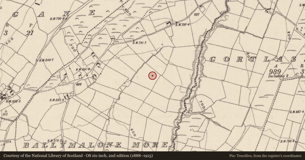Ordnance Survey six-inch map, 2nd edition (1888–1915) covering the location of Barrow - unclassified, Ballymalone More, County Tipperary North, with a pin at the register's coordinates
