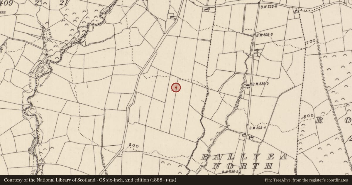 Ordnance Survey six-inch map, 2nd edition (1888–1915) covering the location of Enclosure, Gortlassabrien, County Tipperary North, with a pin at the register's coordinates