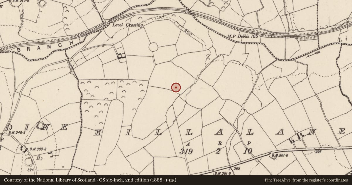 Ordnance Survey six-inch map, 2nd edition (1888–1915) covering the location of Enclosure, Killalane, County Tipperary North, with a pin at the register's coordinates