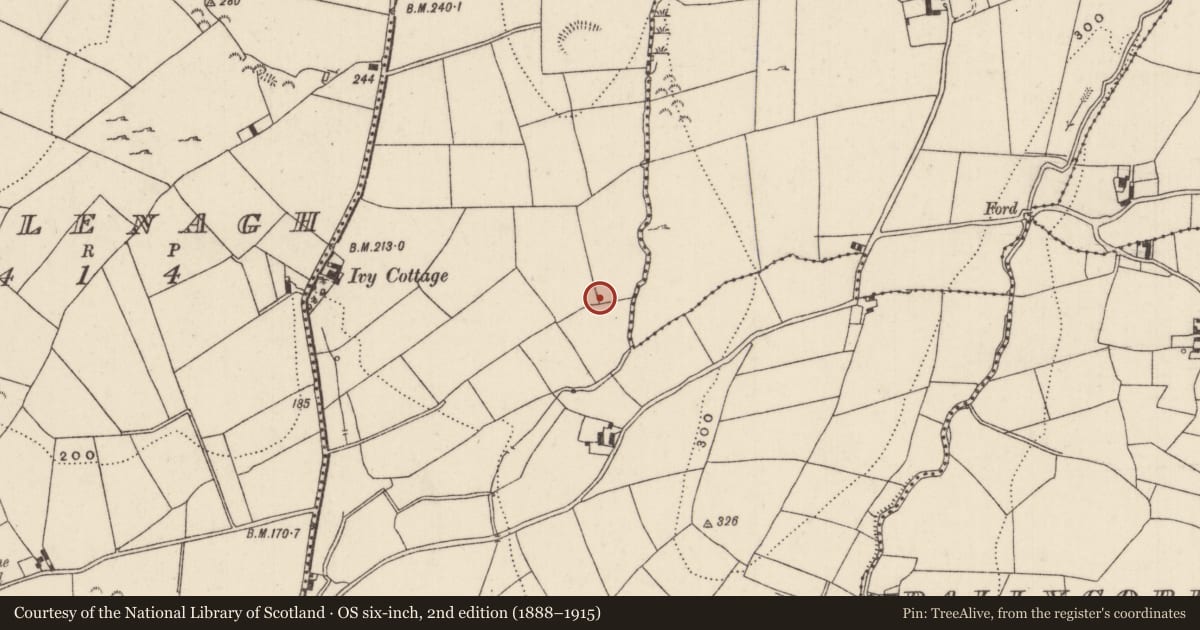 Ordnance Survey six-inch map, 2nd edition (1888–1915) covering the location of Enclosure, Ballina, County Tipperary North, with a pin at the register's coordinates