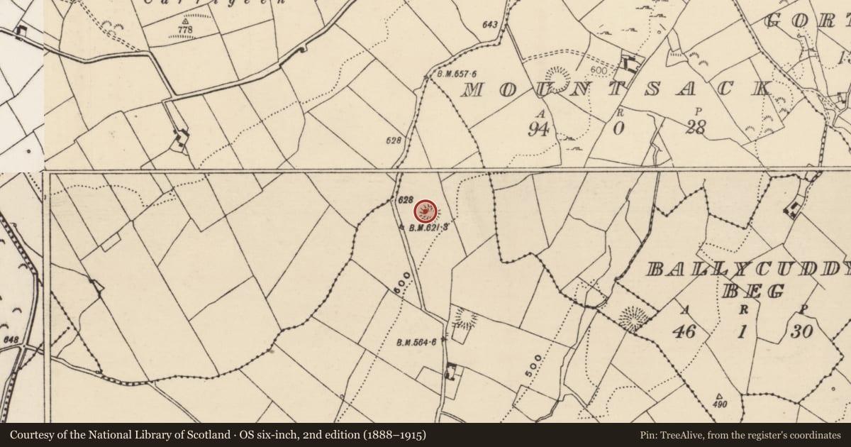 Ordnance Survey six-inch map, 2nd edition (1888–1915) covering the location of Enclosure, Carriggal, County Tipperary North, with a pin at the register's coordinates