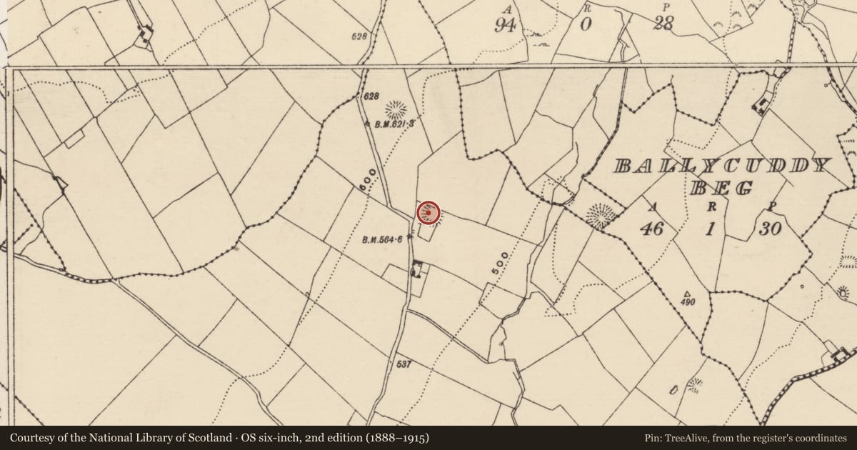 Ordnance Survey six-inch map, 2nd edition (1888–1915) covering the location of Enclosure, Carriggal, County Tipperary North, with a pin at the register's coordinates