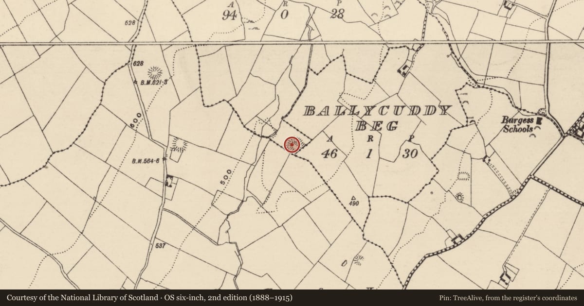 Ordnance Survey six-inch map, 2nd edition (1888–1915) covering the location of Enclosure, County Tipperary North, with a pin at the register's coordinates