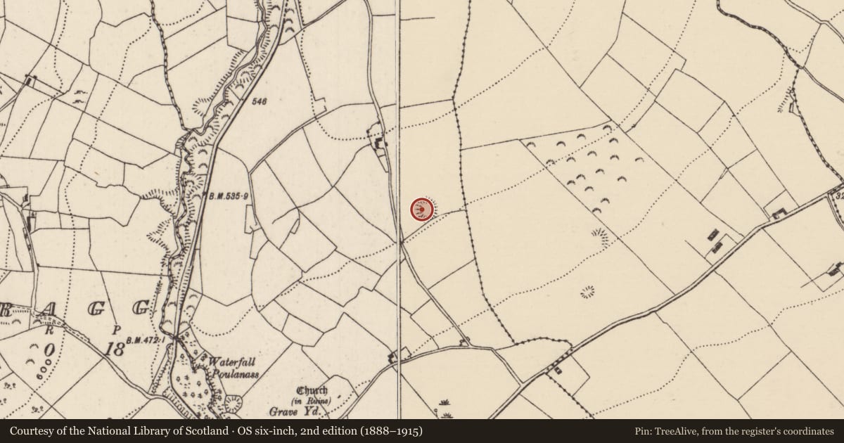 Ordnance Survey six-inch map, 2nd edition (1888–1915) covering the location of Enclosure, Burgesbeg, County Tipperary North, with a pin at the register's coordinates