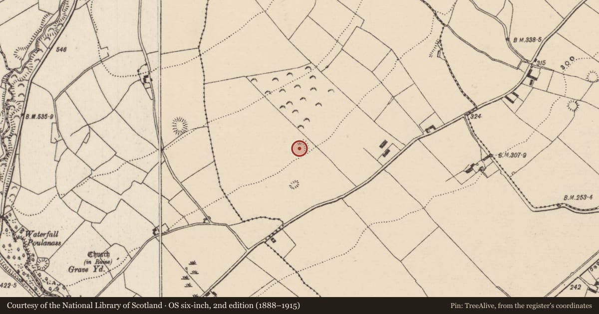 Ordnance Survey six-inch map, 2nd edition (1888–1915) covering the location of Enclosure, Gortmore (Burgesbeg Par.), County Tipperary North, with a pin at the register's coordinates