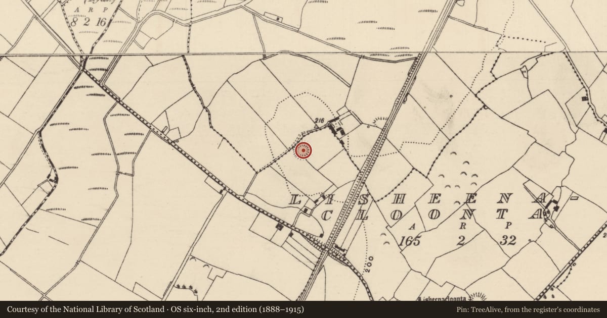 Ordnance Survey six-inch map, 2nd edition (1888–1915) covering the location of Ringfort - rath, Lisheenacloonta, Monaroan, County Tipperary North, with a pin at the register's coordinates