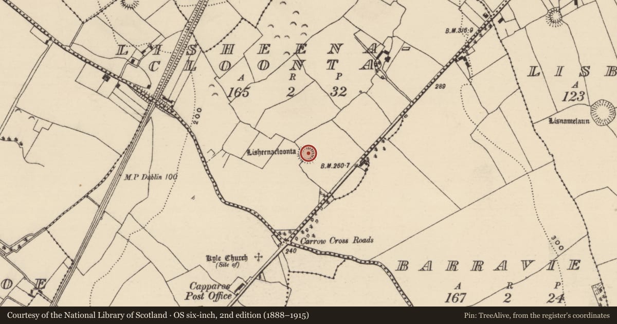 Ordnance Survey six-inch map, 2nd edition (1888–1915) covering the location of Ringfort - rath, Lisheenacloonta, County Tipperary North, with a pin at the register's coordinates