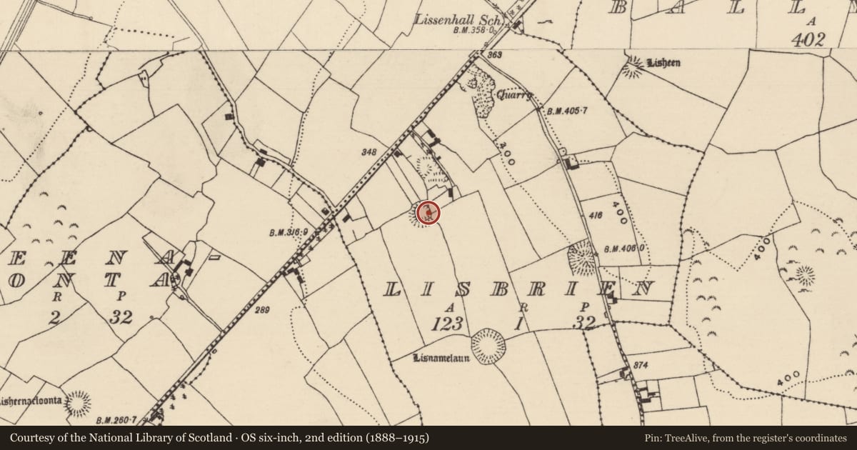 Ordnance Survey six-inch map, 2nd edition (1888–1915) covering the location of Ringfort - rath, Lisbrien, County Tipperary North, with a pin at the register's coordinates