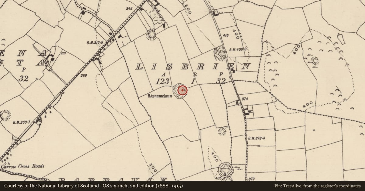 Ordnance Survey six-inch map, 2nd edition (1888–1915) covering the location of Ringfort - rath, Lisbrien, County Tipperary North, with a pin at the register's coordinates