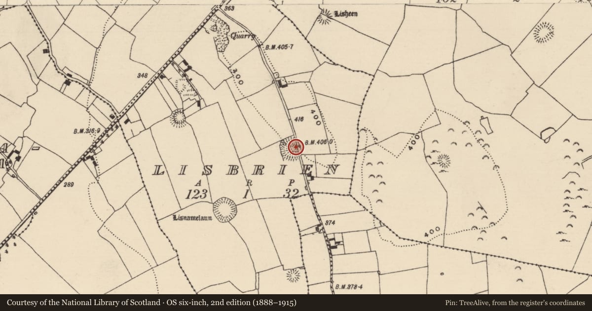 Ordnance Survey six-inch map, 2nd edition (1888–1915) covering the location of Ringfort - rath, Lisbrien, County Tipperary North, with a pin at the register's coordinates