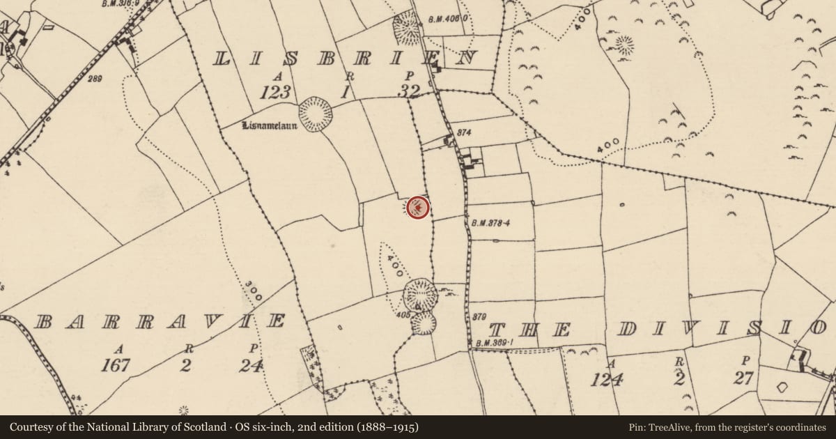 Ordnance Survey six-inch map, 2nd edition (1888–1915) covering the location of Ringfort - rath, Lisbrien, County Tipperary North, with a pin at the register's coordinates