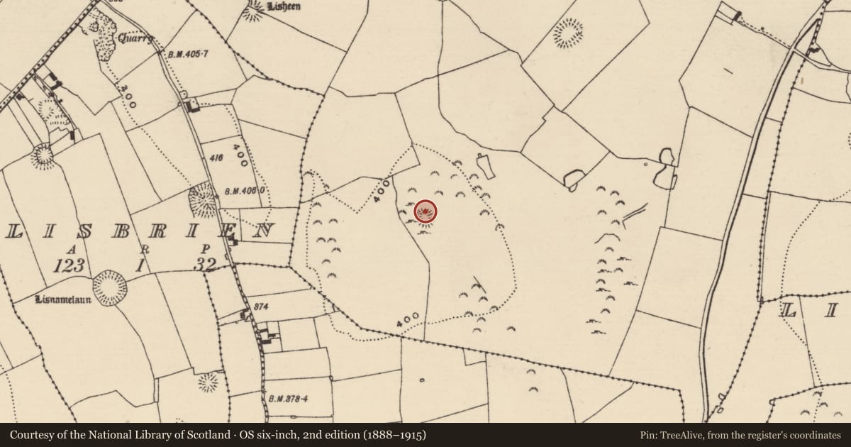 Ordnance Survey six-inch map, 2nd edition (1888–1915) covering the location of Ringfort - rath, Ballyphilip (Kilmore Par., North Riding), County Tipperary North, with a pin at the register's coordinates
