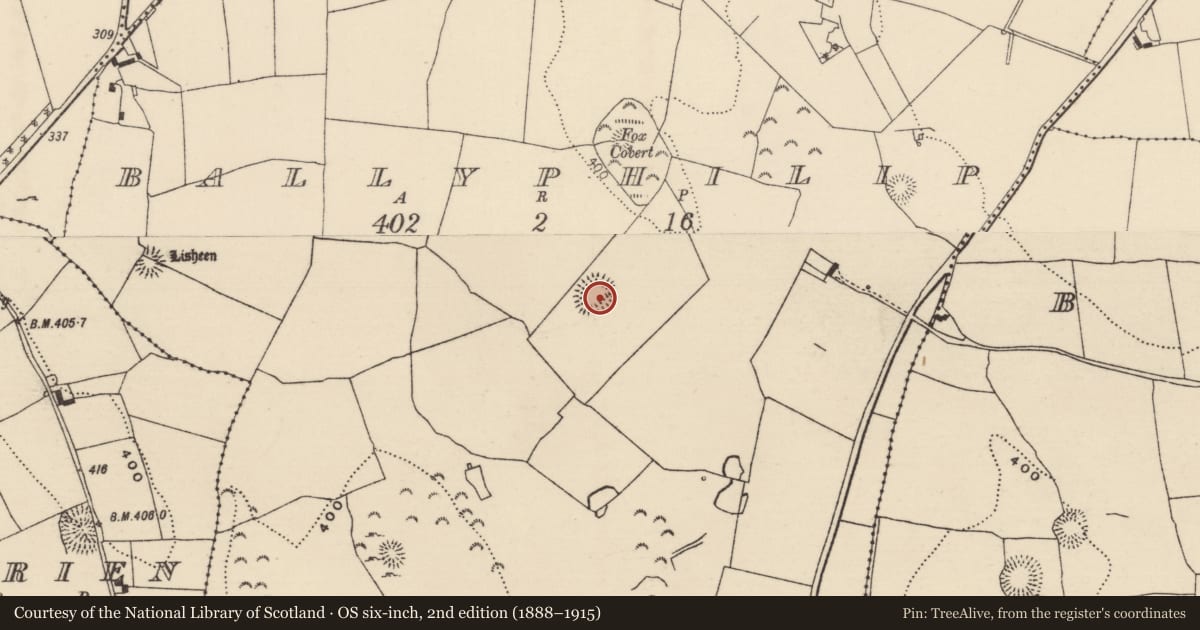 Ordnance Survey six-inch map, 2nd edition (1888–1915) covering the location of Ringfort - rath, Ballyphilip (Kilmore Par., North Riding), County Tipperary North, with a pin at the register's coordinates