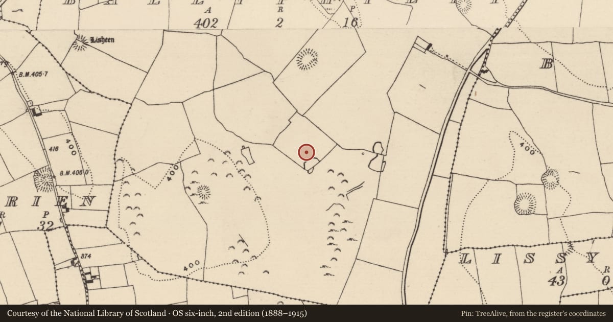 Ordnance Survey six-inch map, 2nd edition (1888–1915) covering the location of Burial ground, Ballyphilip (Kilmore Par., North Riding), County Tipperary North, with a pin at the register's coordinates