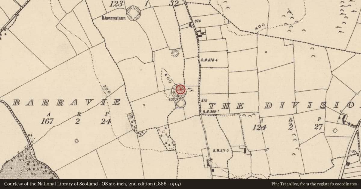 Ordnance Survey six-inch map, 2nd edition (1888–1915) covering the location of Ringfort - rath, County Tipperary North, with a pin at the register's coordinates