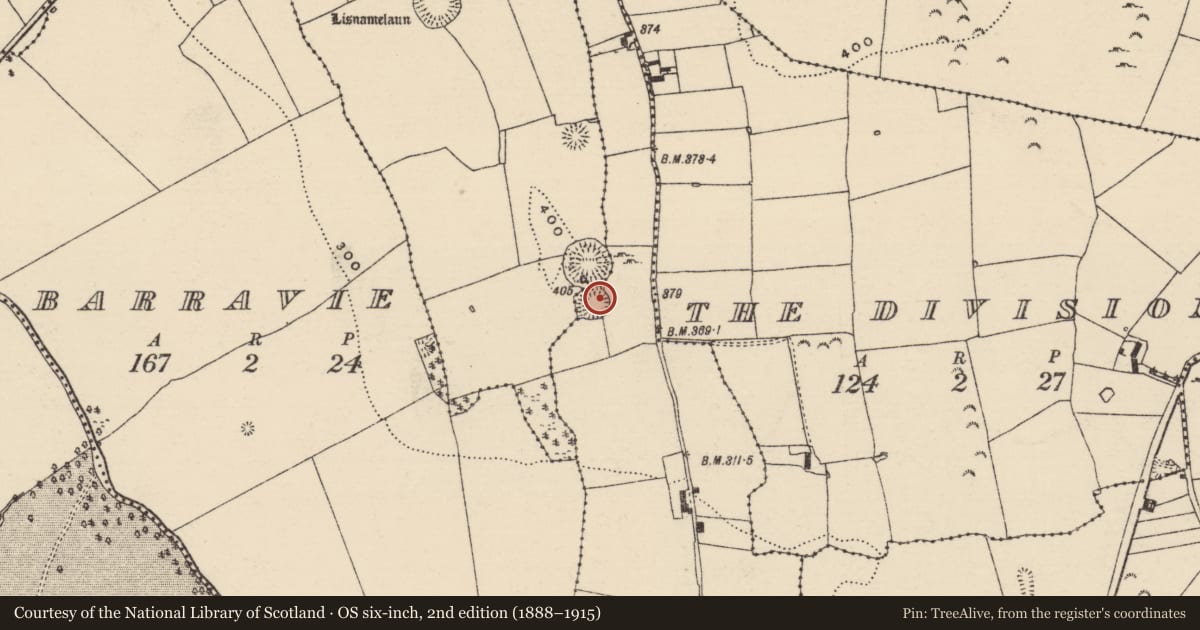 Ordnance Survey six-inch map, 2nd edition (1888–1915) covering the location of Ringfort - rath, County Tipperary North, with a pin at the register's coordinates