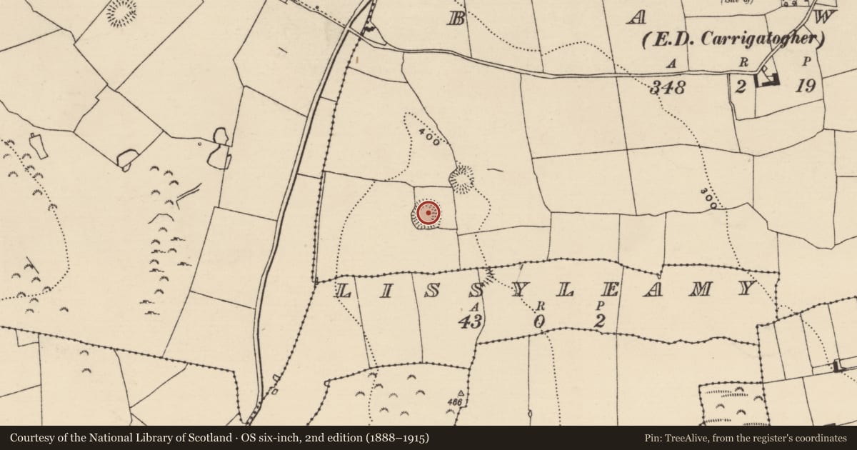 Ordnance Survey six-inch map, 2nd edition (1888–1915) covering the location of Ringfort - rath, Bawn (Kilmore Par., North Riding), County Tipperary North, with a pin at the register's coordinates