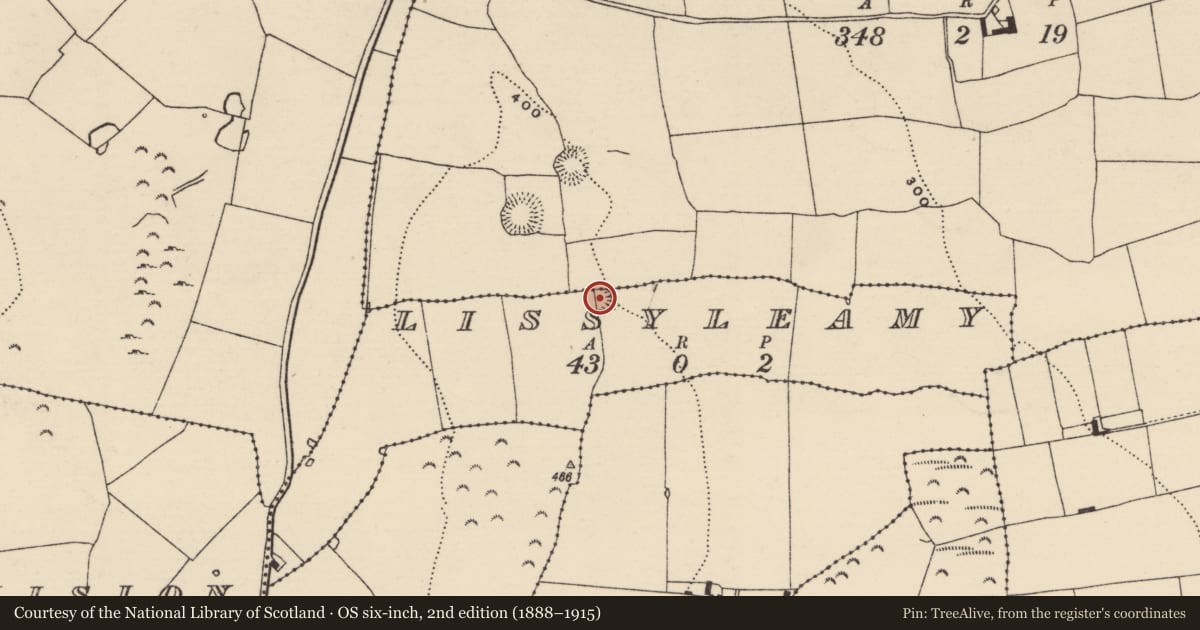 Ordnance Survey six-inch map, 2nd edition (1888–1915) covering the location of Enclosure, County Tipperary North, with a pin at the register's coordinates