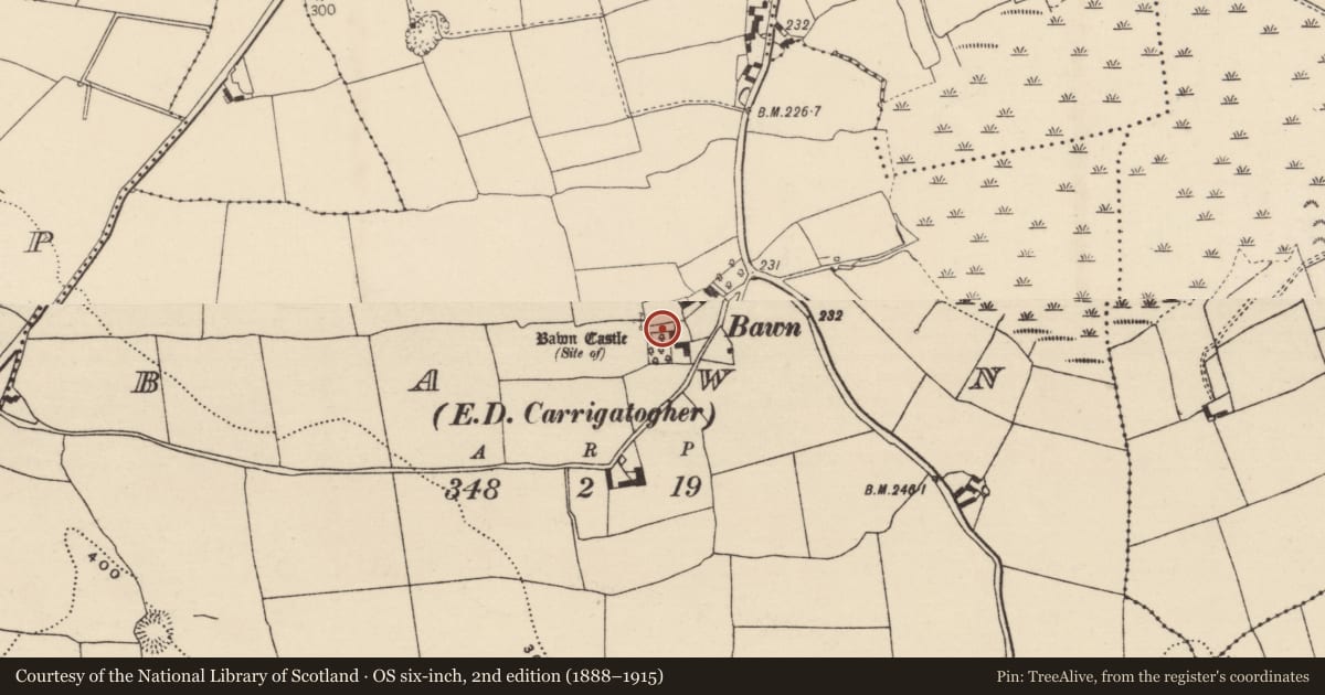 Ordnance Survey six-inch map, 2nd edition (1888–1915) covering the location of Castle - unclassified, Bawn (Kilmore Par., North Riding), County Tipperary North, with a pin at the register's coordinates