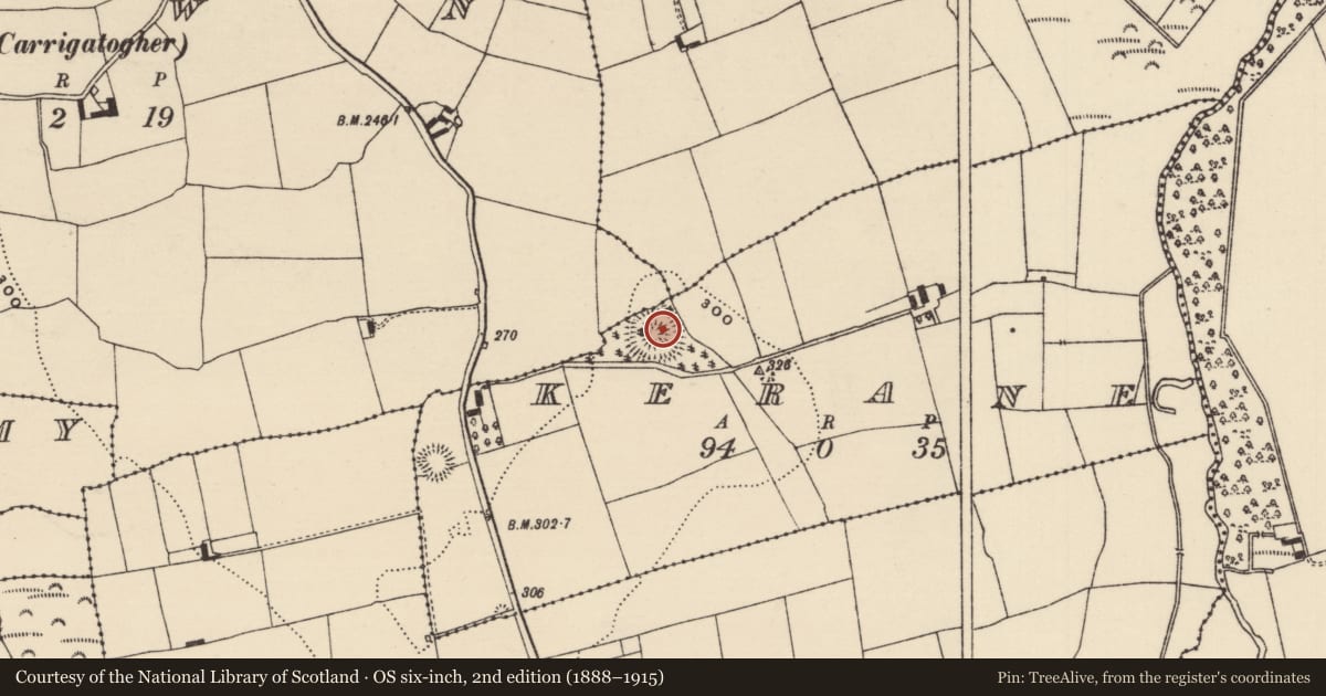 Ordnance Survey six-inch map, 2nd edition (1888–1915) covering the location of Ringfort - rath, County Tipperary North, with a pin at the register's coordinates