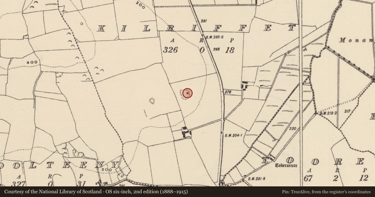 Ordnance Survey six-inch map, 2nd edition (1888–1915) covering the location of Enclosure, Kilriffet, County Tipperary North, with a pin at the register's coordinates