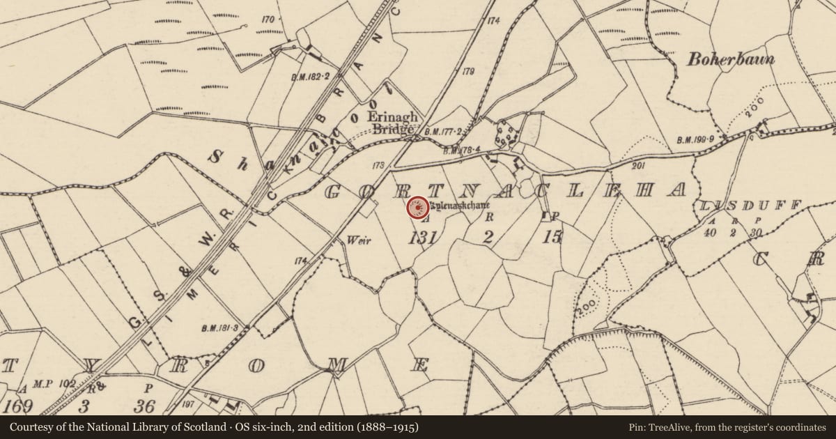 Ordnance Survey six-inch map, 2nd edition (1888–1915) covering the location of Ringfort - rath, Gortnacleha, County Tipperary North, with a pin at the register's coordinates