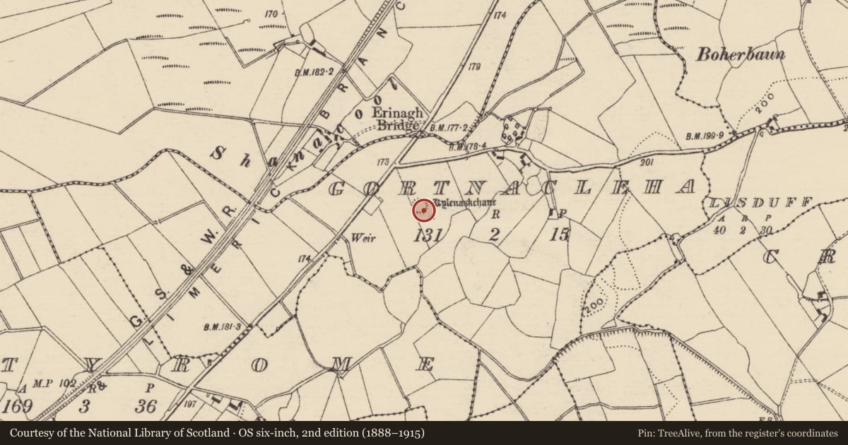 Ordnance Survey six-inch map, 2nd edition (1888–1915) covering the location of Children's burial ground, Gortnacleha, County Tipperary North, with a pin at the register's coordinates