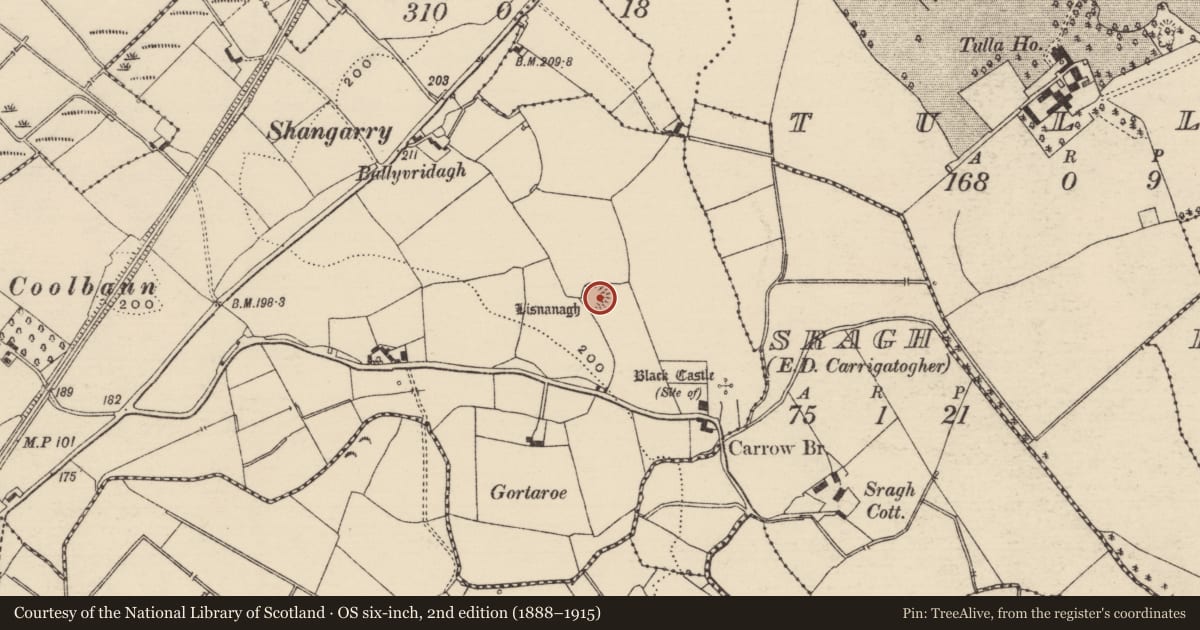 Ordnance Survey six-inch map, 2nd edition (1888–1915) covering the location of Ringfort - rath, Carrow (Kilmore Par.), County Tipperary North, with a pin at the register's coordinates