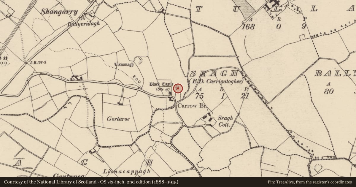 Ordnance Survey six-inch map, 2nd edition (1888–1915) covering the location of Castle - unclassified, Carrow (Kilmore Par.), County Tipperary North, with a pin at the register's coordinates