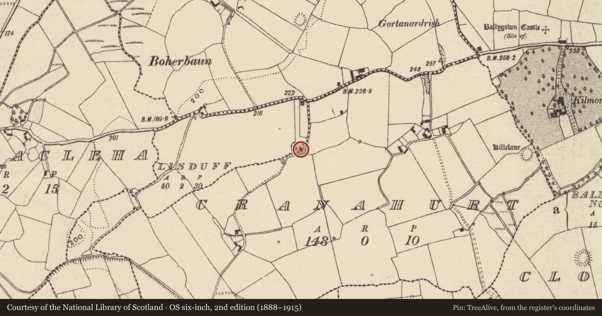 Ordnance Survey six-inch map, 2nd edition (1888–1915) covering the location of Children's burial ground, County Tipperary North, with a pin at the register's coordinates