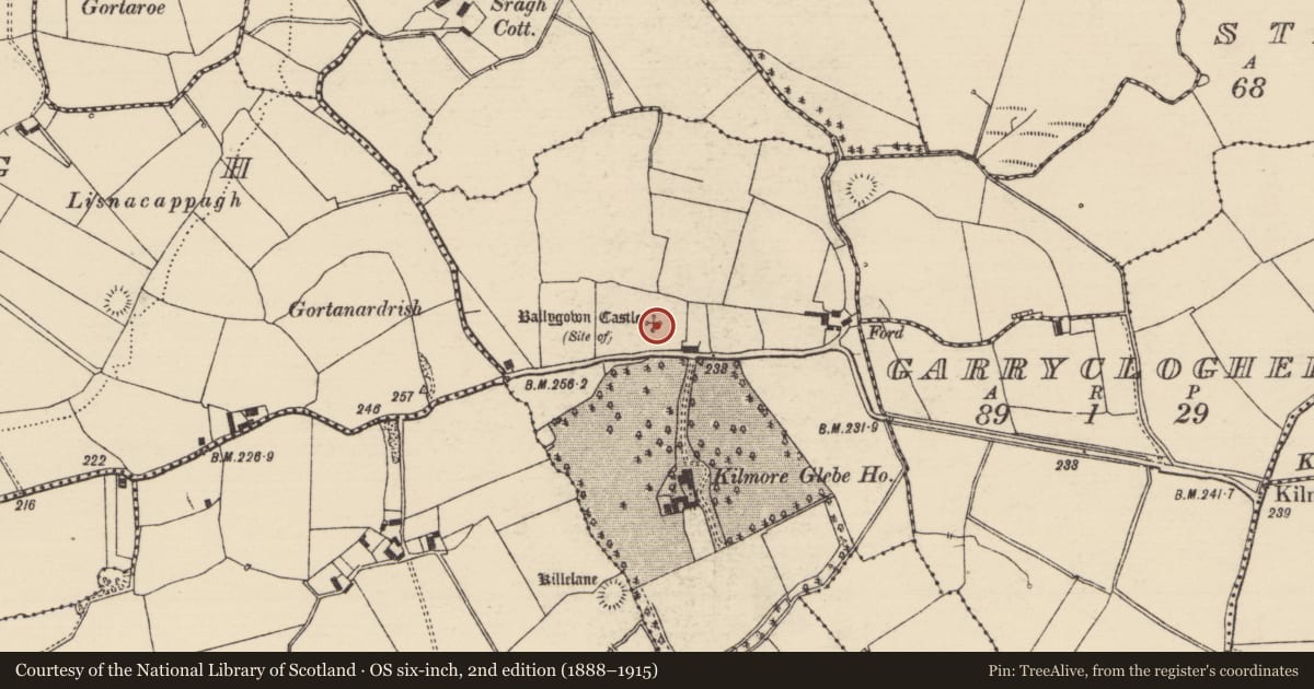 Ordnance Survey six-inch map, 2nd edition (1888–1915) covering the location of Castle - unclassified, Cloonanagh, County Tipperary North, with a pin at the register's coordinates
