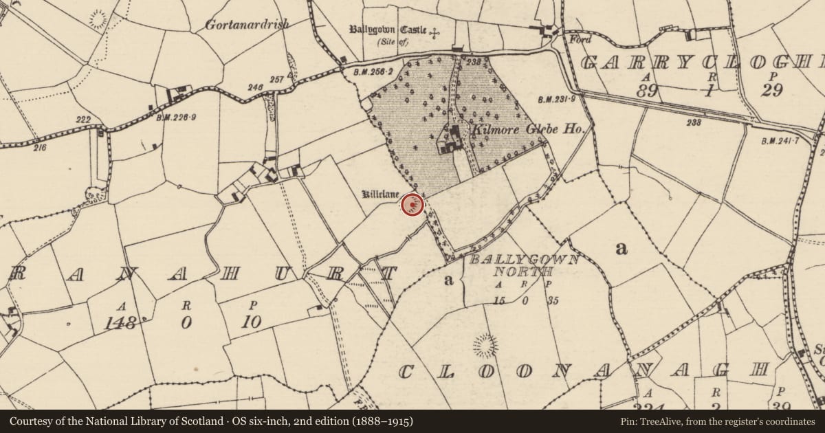 Ordnance Survey six-inch map, 2nd edition (1888–1915) covering the location of Children's burial ground, Cranahurt, County Tipperary North, with a pin at the register's coordinates