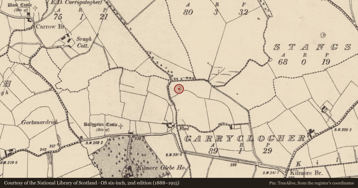 Ordnance Survey six-inch map, 2nd edition (1888–1915) covering the location of Ringfort - rath, Stangs, County Tipperary North, with a pin at the register's coordinates