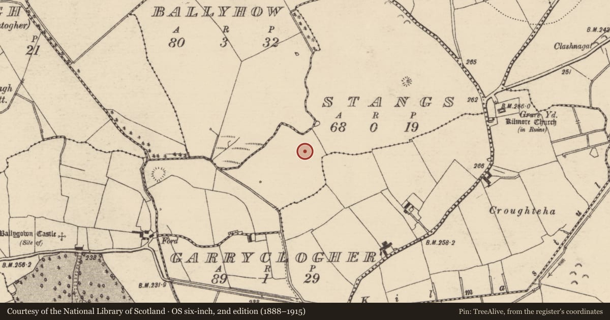 Ordnance Survey six-inch map, 2nd edition (1888–1915) covering the location of Earthwork, Stangs, County Tipperary North, with a pin at the register's coordinates
