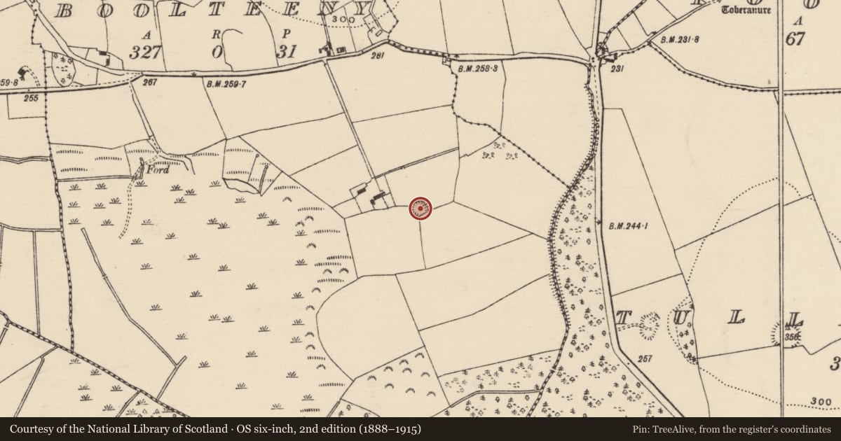 Ordnance Survey six-inch map, 2nd edition (1888–1915) covering the location of Ringfort - rath, Boolteeny, County Tipperary North, with a pin at the register's coordinates