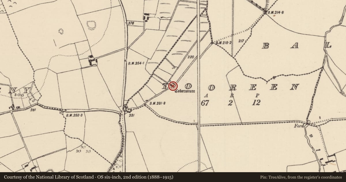 Ordnance Survey six-inch map, 2nd edition (1888–1915) covering the location of Ritual site - holy well, Tooreen (Dolla Par.), County Tipperary North, with a pin at the register's coordinates