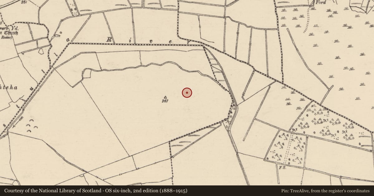Ordnance Survey six-inch map, 2nd edition (1888–1915) covering the location of Megalithic tomb - wedge tomb, Cooleen (Kilmore Par., North Riding), County Tipperary North, with a pin at the register's coordinates