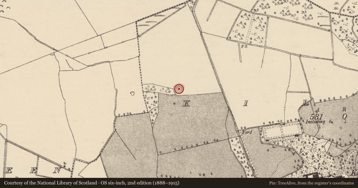 Ordnance Survey six-inch map, 2nd edition (1888–1915) covering the location of Enclosure, Kilboy (Kilmore Par., North Riding), County Tipperary North, with a pin at the register's coordinates
